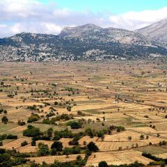 Le plateau de Lassithi