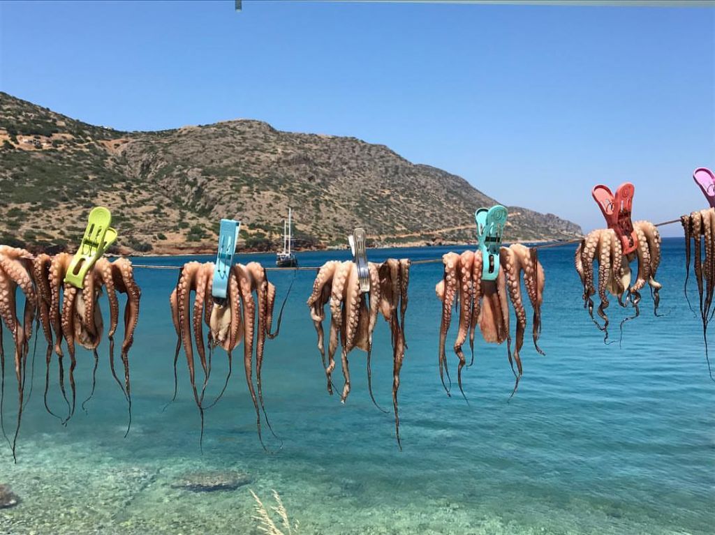 Plaka est un petit village pittoresque situé à 16 km au nord de la ville d’Agios Nikolaos et à 5 km de la station balnéaire cosmopolite d’Elounda