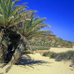 Une plage de Sitia