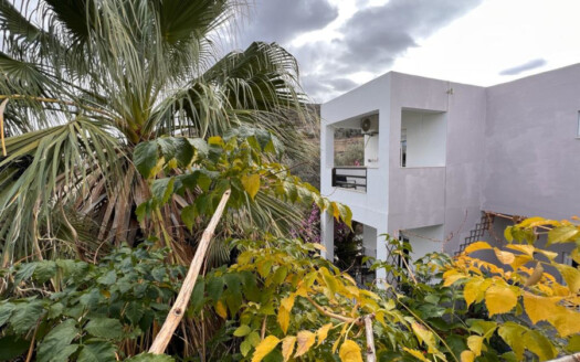 Complexe de 5 appartements avec jardin à Kamilari