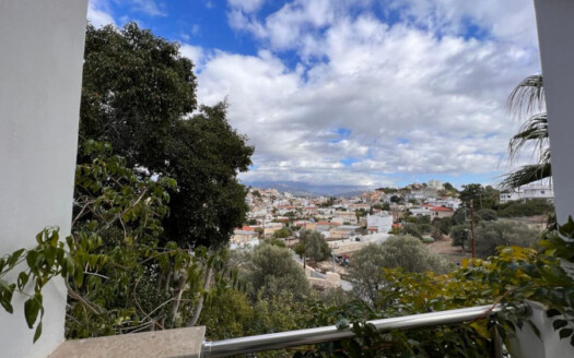 Complexe de 5 appartements avec jardin à Kamilari