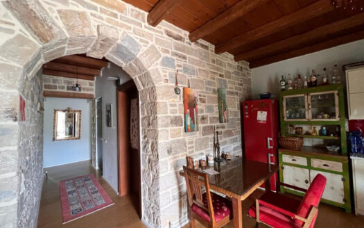 Maison traditionnelle en pierre, confortable, avec cour à Pitsidia