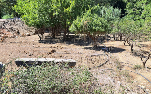 Terrain constructible à l’entrée du village de Fodélé.