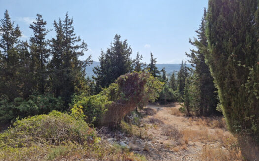 Terrain avec vue sur les montagnes dans le village de Douliana, Apokoronas