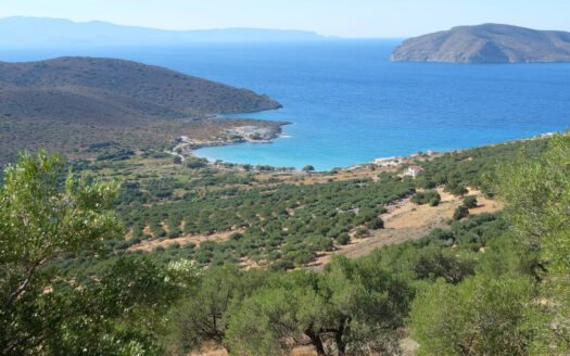 Terrain constructible avec vue sur la mer à Kavousi / Tholos.