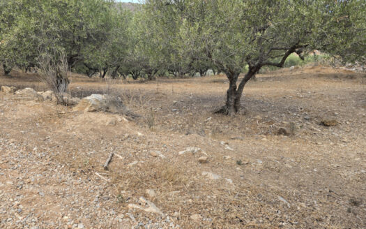 Parcelle de terrain constructible dans le plan du village de Charaso