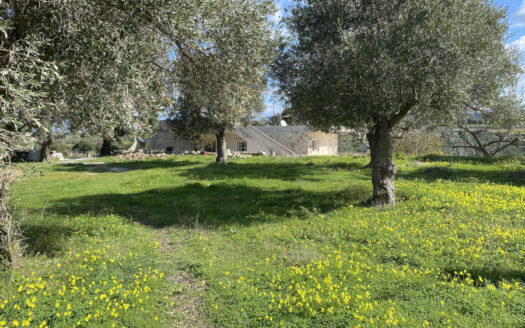 Terrain constructible de 1386m2 à Pagona, près de Prinos