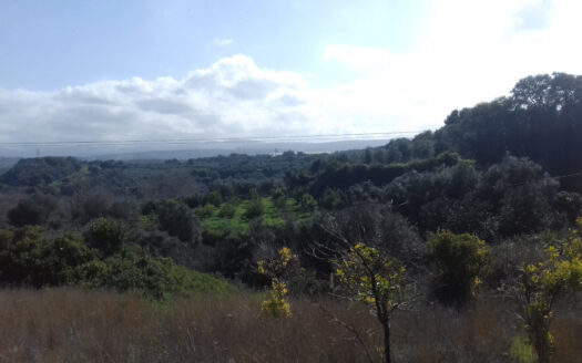 Terrain constructible de 1567m2 à Palia Vrissi