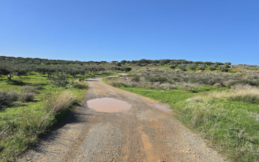 Terrain constructible de 4321,03m2, vue mer lointaine, à Skoteino.